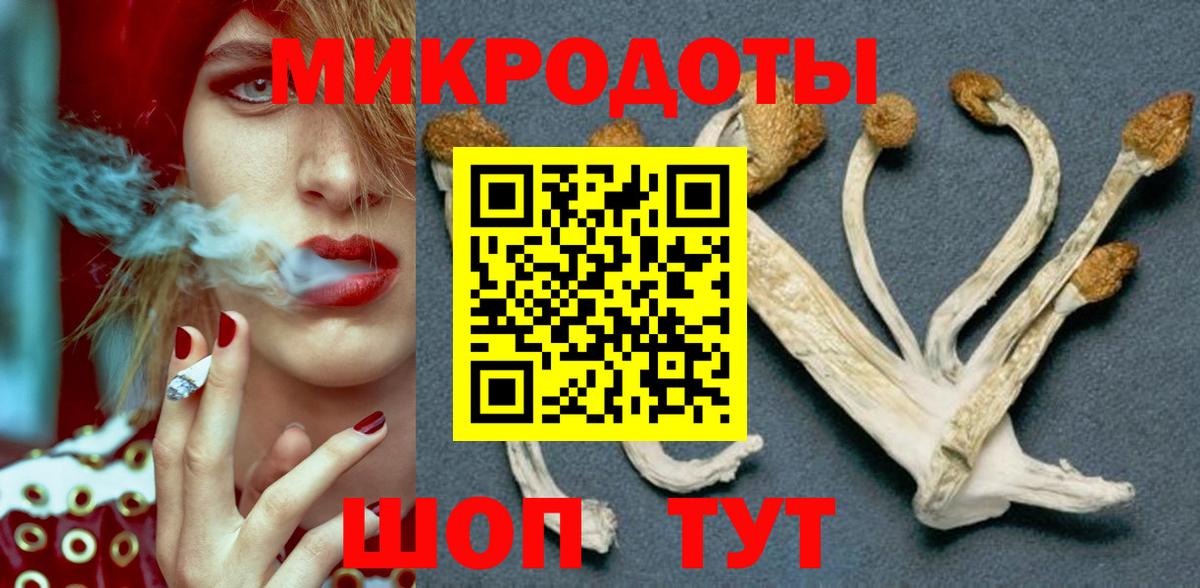 Псилоцибиновые грибы GOLDEN TEACHER  Галлюциногенные грибы GOLDEN TEACHER  Вход с VPN  Новочебоксарск 